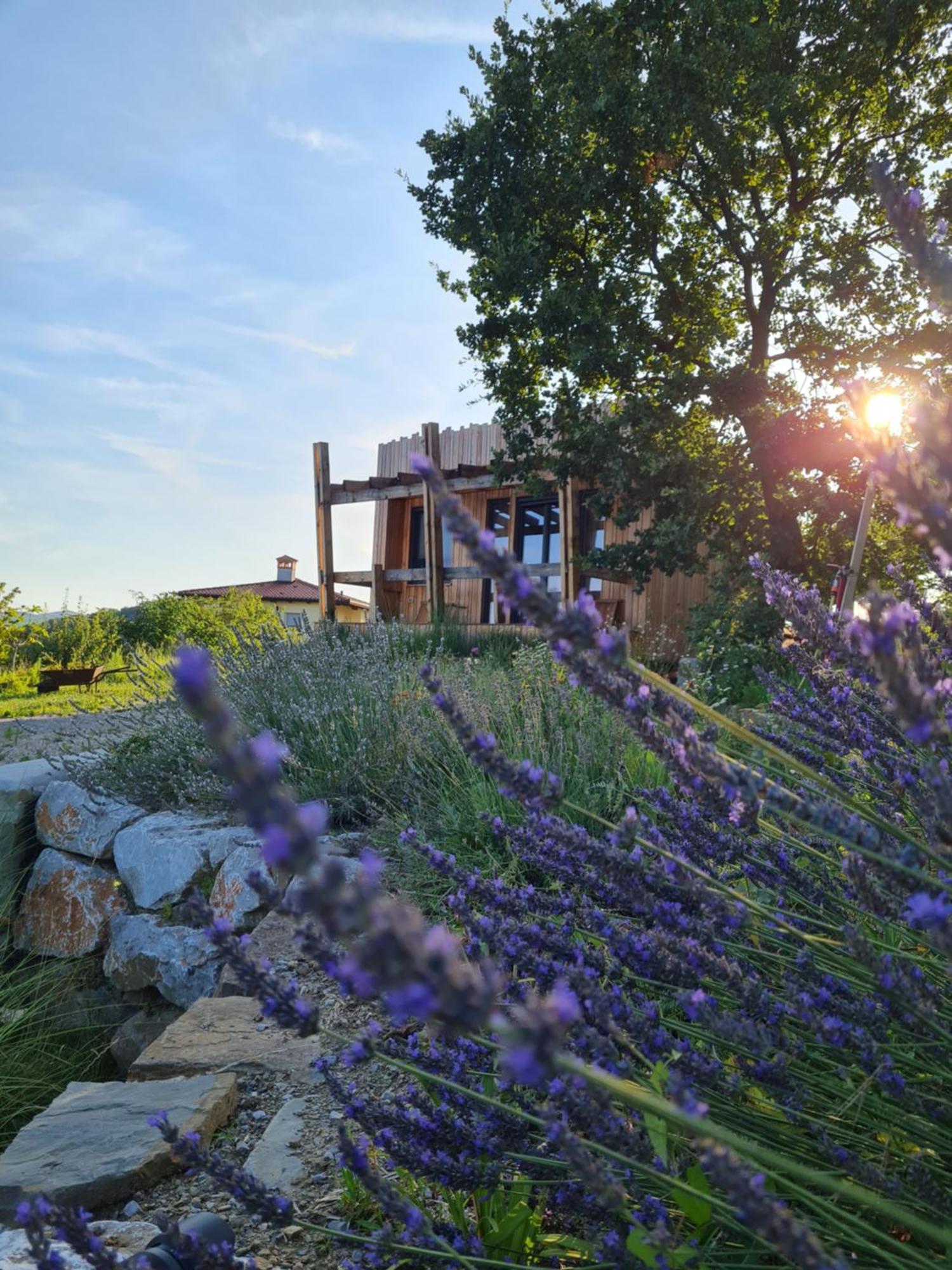 Апартаменты Panorama Glamping Vipavska Dolina Dobravlje Экстерьер фото